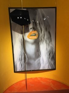 IMG_8845-e1527686215851-225x300